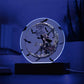 Just A Little Batty Acrylic Circle Plaque / Night LIght
